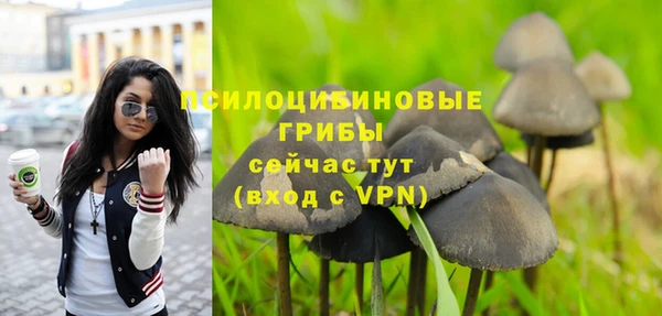 стафф Горнозаводск