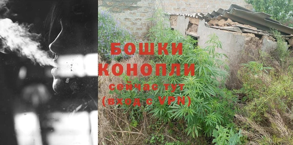 ECSTASY Вяземский