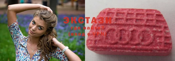 ECSTASY Вяземский