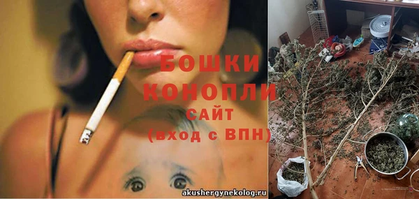 ECSTASY Вяземский
