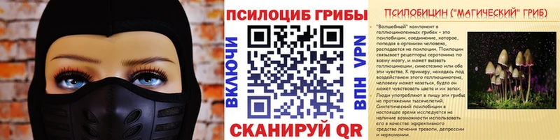 Галлюциногенные грибы Psilocybe цена Находка