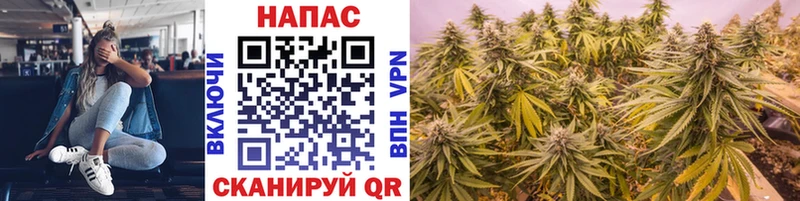 Шишки марихуана гибрид  ОМГ ОМГ как зайти  Находка  купить  цена 